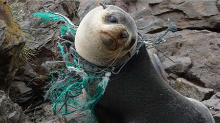 ocean_clean_2