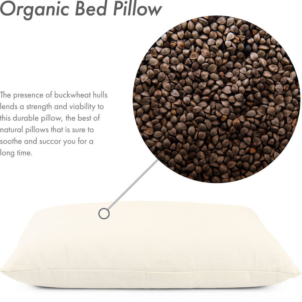Buckwheat Big Buck Bed Pillow Filled With US Grown Organic Buckwheat H -  HitNotion