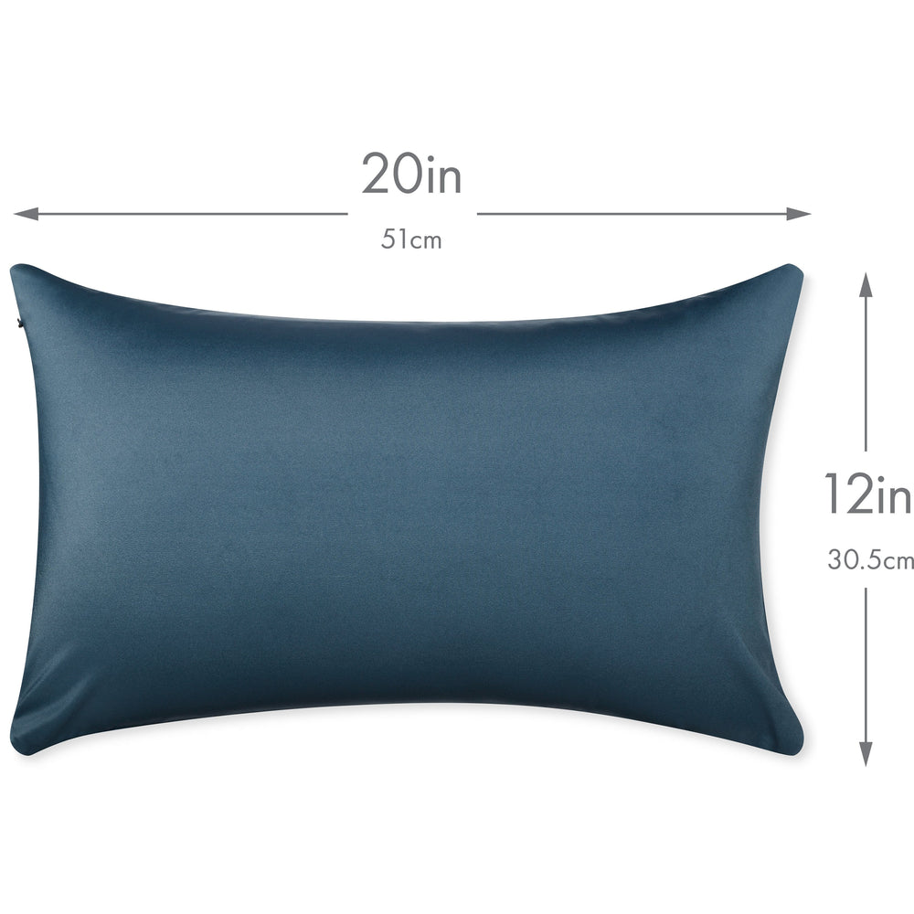 Throw Pillow – Dark Slate Grey: 1 PCS Luxurious Premium Microbead Pillow With 85/15 Nylon/Spandex Fabric. Forever Fluffy, Outstanding Beauty & Support. Silky, Soft & Beyond Comfortable